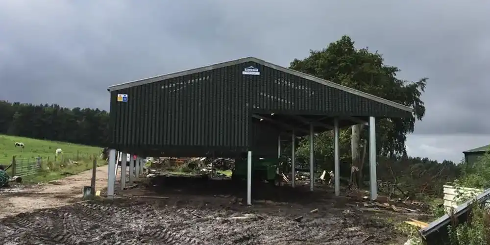 60x44 steel sheet cattle shed